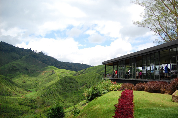 Cameron Highlands